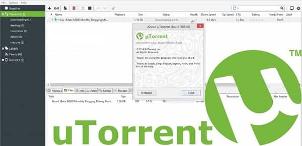استخدام utorrent